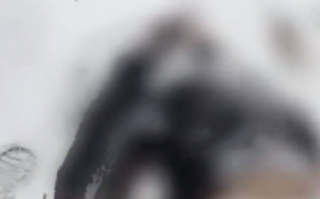 河南一男子醉倒雪地里被冻死 ！村委会：死者不到50岁，昨晚喝了酒后骑电动车从家中离开 ！