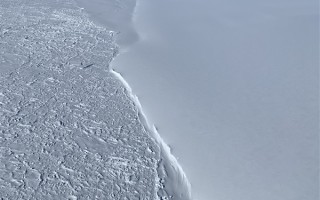 黑龙江水库冰面下现13匹冰冻马 主人：马扎堆喝水落水淹死 ！