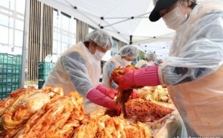 韩国大白菜最贵62元一斤：禁止从中国进口大白菜 尽管质优价廉 ！