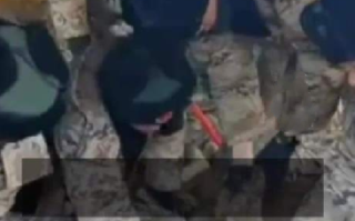 金毛震后泥浆被困30小时获救：青海震区现“狗坚强” ，已被送往安置点 ！