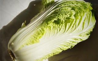 韩国“金菜危机”今年或卷土重来 去年一棵白菜售价曾超50元 !