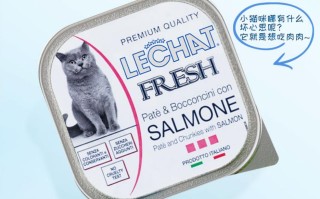 猫罐头哪个品牌的比较好（猫粮哪个牌子质量高又安全）