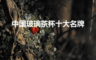 中国玻璃茶杯十大名牌（公认口碑最好的玻璃茶杯）