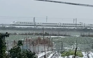 活了这么久 第一次见高铁10码速度缓慢行驶 ！