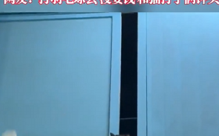 球馆流浪猫成专业技术陪练 网友：打羽毛球没要钱 和猫打了俩钟头 ！