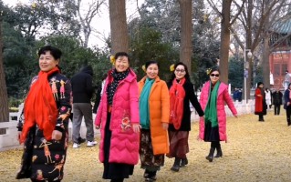 郑州一日游必去的地方（郑州10个绝佳赏秋地点推荐）