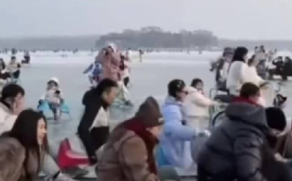 继尔滨后南方小土豆盯上查干湖鱼：“小土豆”们成为消费新力量 ！