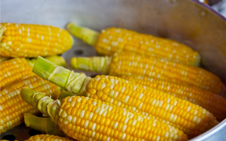 重磅！首批转基因玉米、大豆农作物种子生产经营许可证批准发放 ！