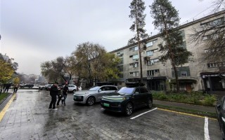哈萨克斯坦遍地理想汽车 博主：密度比很多中国城市都高 ！