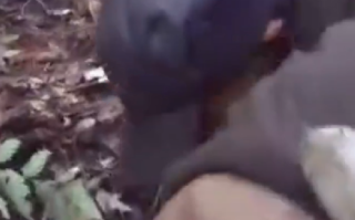 老人深山走失30小时被警犬找到 ！网友:必须奖励鸡腿！