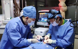 上海8岁女童下腰时摔倒致无法站立 ！专家：不推荐10岁以下练下腰训练等运动 ！