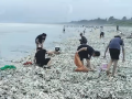 “韦帕”过境广东一海滩遍地海鲜 专家提醒：当心这种细菌引发败血症 !