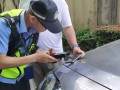 张纪中杭州开车送娃上学撞车上热搜：被判全责 我不会跑 我是张纪中 ！