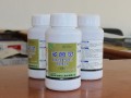 多菌灵喷叶还是灌根好（指导多菌灵的使用方法） ！