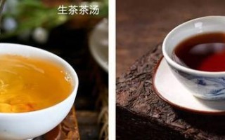 生普洱茶和熟普洱茶的区别（普洱生茶主活熟茶重滑） ！