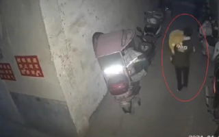 女童被男子强行抱走:系感情纠纷，不是人贩子 ！