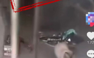 20多只猫饿到自相残杀?重庆辟谣：此为不实信息，店老板已将猫转移其它地方安置 ！