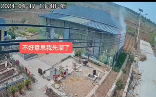 家中失火边牧第一个溜了 土狗留在屋内照顾狗仔 ！