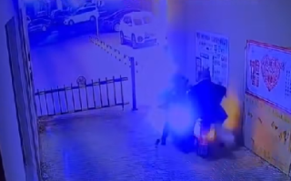 主人撞车 狗子直接跑路：九小时后最终在一口井里找到 ！