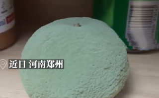 女生无意将沃柑放柜子1周变霉球 ！直言：觉得大自然很神秘、神奇 ！
