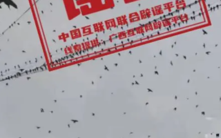 广西辟谣飞鸟盘旋是地震前兆：系鸟类对断崖式的气温不适应所致！
