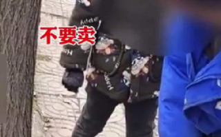 男孩哭着阻拦父亲卖狗被骂滚一边：最终还是800元卖掉了狗 ！