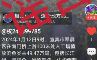 往长江放生鳄雀鳝?宜宾辟谣：谣言，放流的是长江鲟等珍稀鱼类 ！