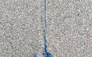 三亚沙滩现多起剧毒水母伤人事件 看到僧帽水母千万别碰 ！