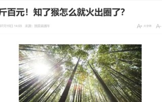 有人抓“知了猴”一晚能赚几百元！这么值钱为何鲜有人养殖 !