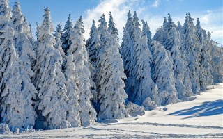 全国10省将现暴雪、大暴雪！2008年以来春运最复杂雨雪天气 ！