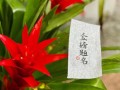 金榜题名生肖（祝贺金榜题名的对应生肖） !