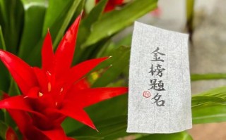 金榜题名生肖（祝贺金榜题名的对应生肖） !