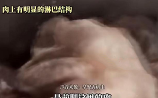 “三腺肉”流向早餐店做云吞馅：涉事肉联加工厂员工已被警方带回调查 ！