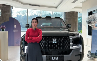 25岁美女UP主一口气提三辆国产车：仰望U8、问界M9、理想MEGA ！