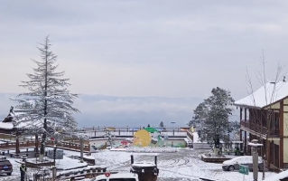 四川蒙顶山景区“一夜白头”：古树都已换上银装 ！