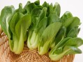 上海青和油菜的差异（对比上海青和油菜的区别） ！