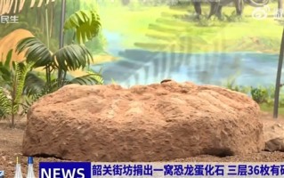 男子捐赠36枚恐龙蛋化石 最大直径18厘米 此前守护长达35年 !