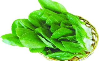 青菜能放多久（青菜的保存期限） ！