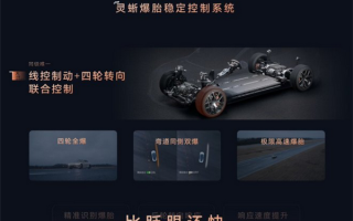 智己L6全系标配灵蜥爆胎稳定系统！四轮爆、弯道爆、高速爆都稳如泰山 ！