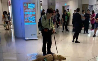香港一导盲犬在商场内晕倒去世 ！目击者：当时呼吸非常急促，被抱起时还呕水 ！