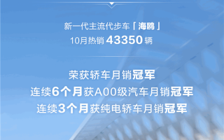 比亚迪海鸥10月狂卖43350辆 强势夺得中国轿车单月销冠 ！
