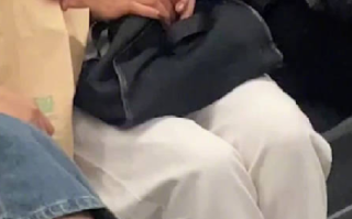 网友发视频称乘客带着小猫坐地铁 ！地铁客服：不允许携带宠物 ！