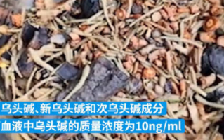 男子吃中药后身亡 当地卫健委介入：事后医院称药系外敷 ！