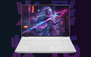 火影焕16 Pro 2025游戏本上市：锐龙9 8940HX+RTX 5060首发4999元起 !