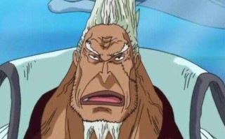 海贼王海军等级划分（海军职位等级制度简介）