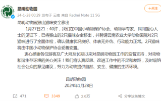 昆明动物园两只猫咪被移出 画面曝光：健康状况良好 ！