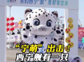 起猛了 052D上居然有只“雪豹” ！你和它合影了吗？