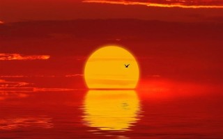 最多降温10℃ 南方新一轮阴雨天气来袭！北方经历过山车 ！