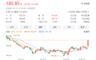 宁王要归来！宁德时代股价大涨超14% 被称行业首选股票 ！