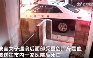 中国女子在日本遇害案监控曝光: 凶手有事先埋伏的可能性 !